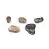 Natural Freshwater Shell Beads X-BSHE-I011-03A-2