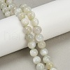 Natural Green Moonstone Beads Strands G-NH0060-A01-02-1