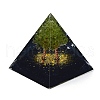 Orgonite Pyramid Resin Energy Generators DJEW-PW0012-020C-2