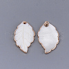 Electroplate Freshwater Shell Pendants X-SHEL-S274-57-2