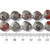 Natural Dragon Blood Beads Strands G-P570-E05-02-5