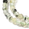Natural Prehnite Beads Strands G-C009-A20-4