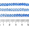 Transparent Painted Glass Beads Strands X1-DGLA-A034-T4mm-A01-3