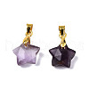 Natural Amethyst Charms G-N326-142-03-1