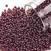 TOHO Round Seed Beads SEED-JPTR11-0332-1