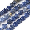 Natural Sodalite Star Beads Strands G-Z080-A09-2
