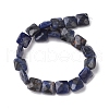 Natural Sodalite Beads Strands G-K359-B07-01-3