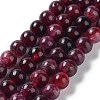 Dyed Natural Malaysia Jade Beads Strands G-G021-01A-04-2