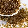 Glass Seed Beads SEED-L011-02B-05-1