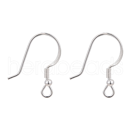 925 Sterling Silver Earring Hooks STER-G011-02-1
