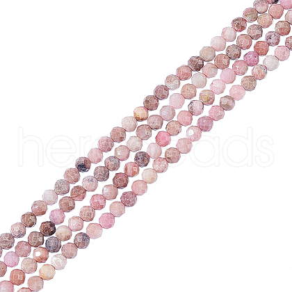  2 Strands Natural Rhodonite Beads Strands G-NB0004-18-1