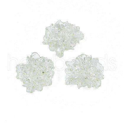 Transparent Acrylic Cabochons TACR-N006-16-A04-1