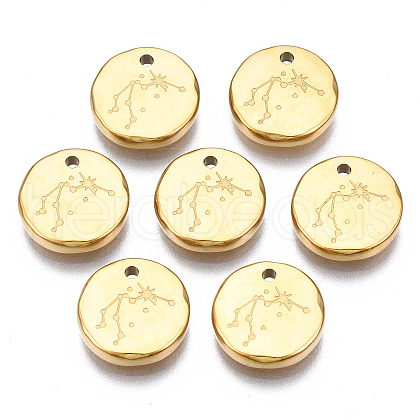 316 Surgical Stainless Steel Charms STAS-S116-418F-G-1