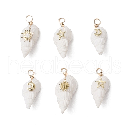 6Pcs 6 Styles Natural Shell Pendants PALLOY-JF03882-1