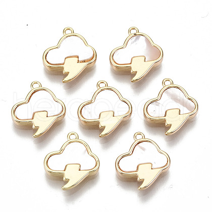Natural Sea Shell Charms KK-S354-262-NF-1