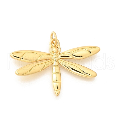Brass Pendants KK-L225-037G-1