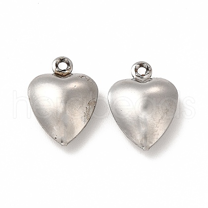 Non-Tarnish 304 Stainless Steel Charms STAS-F289-01P-1