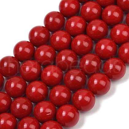 Shell Pearl Beads Strands BSHE-K015-10mm-01-1