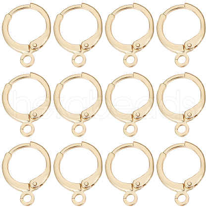 Beebeecraft 50Pcs Brass Leverback Earring Findings KK-BBC0011-33-1