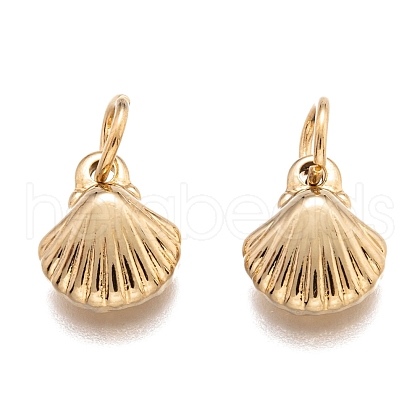304 Stainless Steel Charms STAS-J036-049G-1