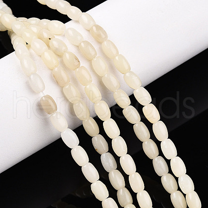 Natural White African Opal Beads Strands G-N346-02A-10-1
