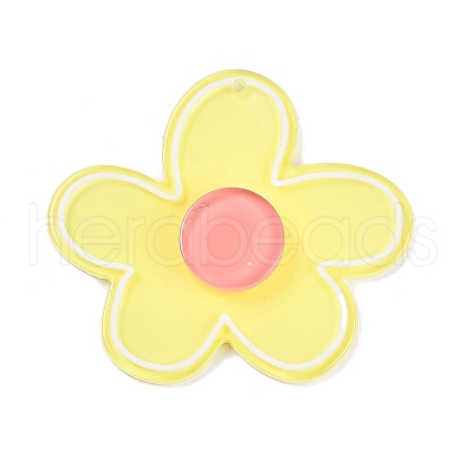 Acrylic Pendants OACR-Q100-14D-1