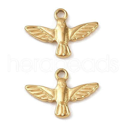 304 Stainless Steel Charms STAS-R170-01G-05-1