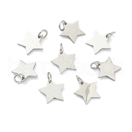 Tarnish Resistant (Defective Closeout Sale: Scratches)304 Stainless Steel Charms STAS-XCP0001-34-1