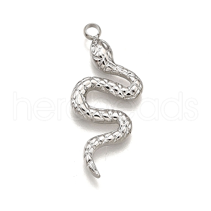 304 Stainless Steel Pendants STAS-M116-05P-1