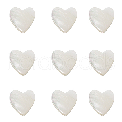Natural Trochid Shell/Trochus Shell Beads SHEL-CJ0001-21-1