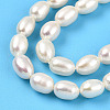 Natural Cultured Freshwater Pearl Beads Strands PEAR-N012-05N-4