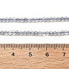 Natural Labradorite Beads Strands G-RM241221-A10-4