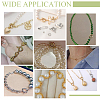 Unicraftale 8Pcs 8 Styles 304 Stainless Steel Spring Ring Clasps FIND-UN0061-28-6