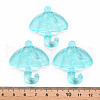 Transparent Acrylic Pendants TACR-T024-01B-946-4