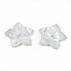 Natural White Shell Beads SSHEL-N027-131A-01-4