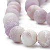 Natural Lepidolite/Purple Mica Stone Beads Strands G-T106-294-2