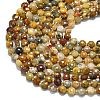 Natural Crazy Agate Beads Strands G-K389-B71-01-3