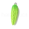 Resin Iron Pendants RESI-D280-10-1