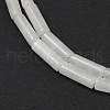 Natural Quartz Crystal Beads Strands G-G202-B04-01-4