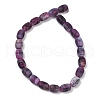 Natural Weathered Agate Beads Strands G-NH0047-B08-02-3