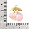 304 Stainless Steel Acrylic Pendants STAS-E549-01G-03-3