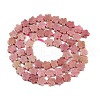 Natural Rhodonite Beads Strands G-B138-C11-01-3