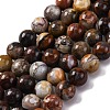 Natural Mexico Crazy Agate Beads Strands G-L615-A01-02-4