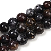 Natural Indian Bloodstone/Heliotrope Stone Beads Strands G-F792-C04-03-2