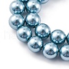 Shell Pearl Beads Strands BSHE-K015-8mm-02-3