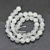 Natural Selenite Beads Strands G-G792-24D-2