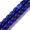 Handmade Lampwork Beads Strands LAMP-K041-01B-21-1