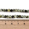 Natural Prehnite Beads Strands G-RM2025-C26-C-5