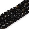 Natural Golden Sheen Obsidian Beads Strands G-N342-110-1
