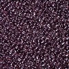 Glass Seed Beads SEED-A006-2mm-116-2